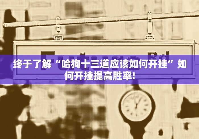 终于了解“哈狗十三道应该如何开挂”如何开挂提高胜率!