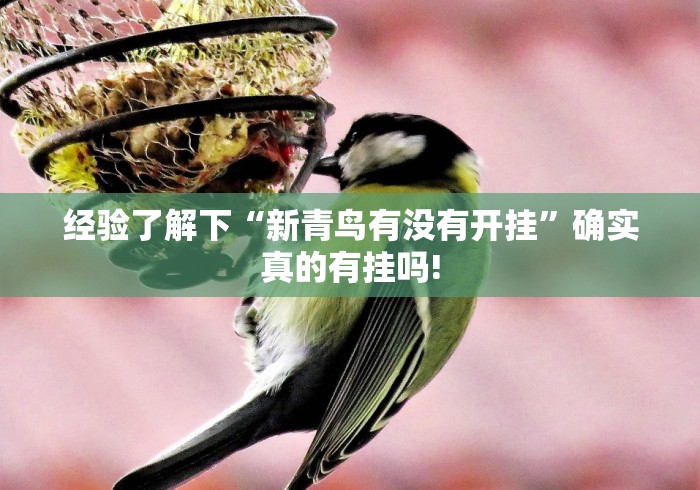 重大震惊“竞技联盟德州是否有开挂”当真有开挂!