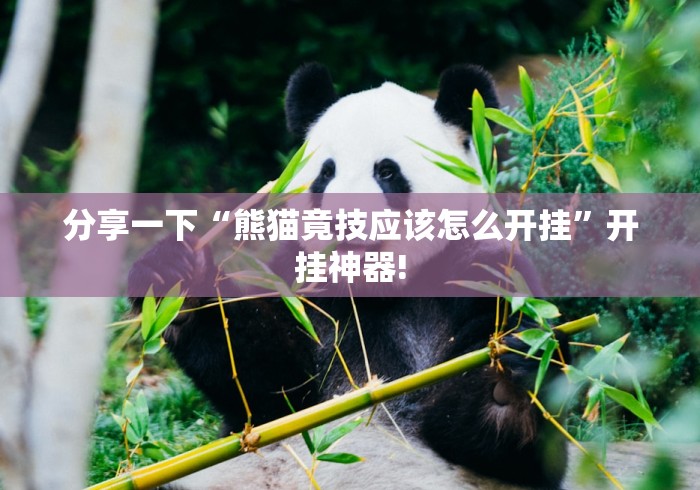 分享一下“熊猫竟技应该怎么开挂”开挂神器!