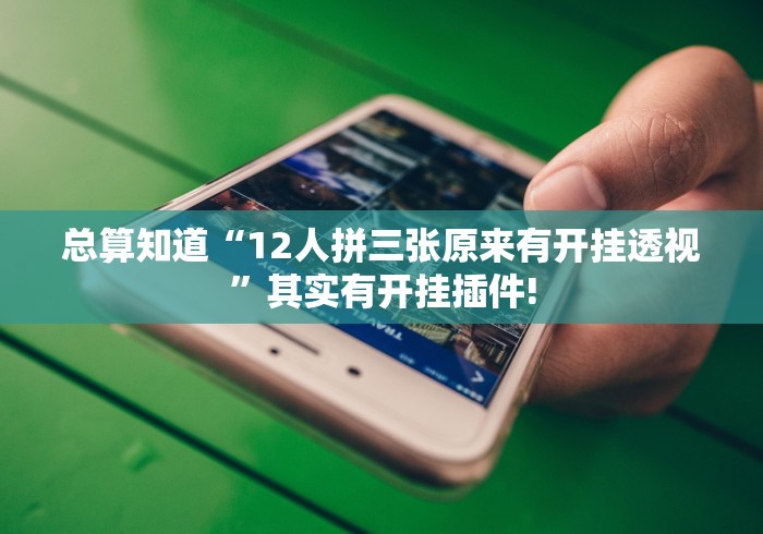 总算知道“12人拼三张原来有开挂透视”其实有开挂插件!