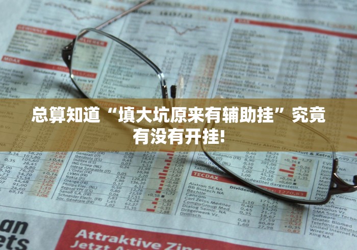 总算知道“填大坑原来有辅助挂”究竟有没有开挂!