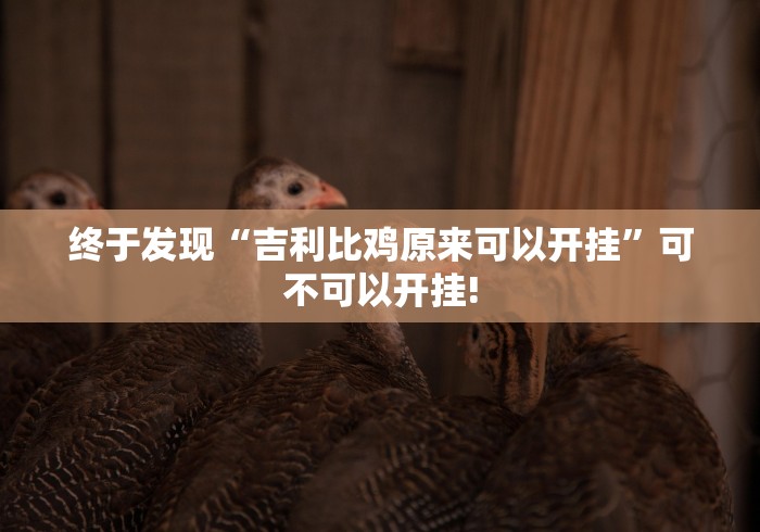 终于发现“吉利比鸡原来可以开挂”可不可以开挂!