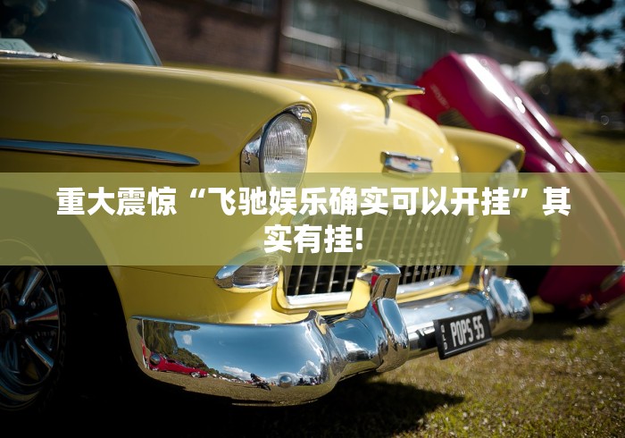 重大震惊“飞驰娱乐确实可以开挂”其实有挂!