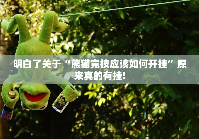 明白了关于“熊猫竟技应该如何开挂”原来真的有挂! 明白了关于“熊猫竟技应该如何开挂”原来真的有挂!