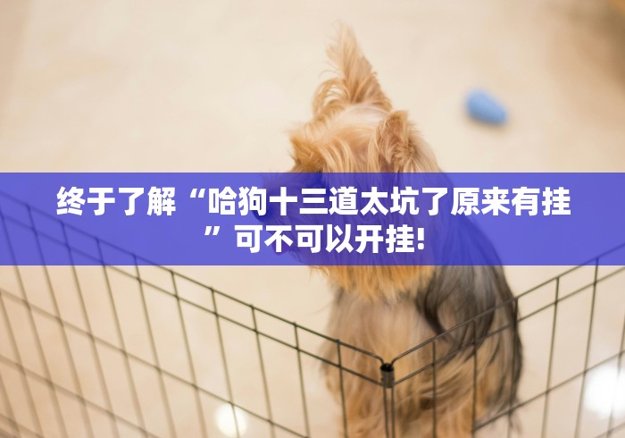 玩家必备攻略“越乡游嵊州麻将真的有挂吗”确实真的有挂吗! 玩家必备攻略“越乡游嵊州麻将真的有挂吗”确实真的有挂吗!