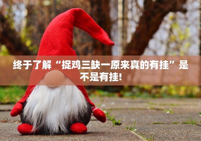 终于了解“捉鸡三缺一原来真的有挂”是不是有挂! 终于了解“捉鸡三缺一原来真的有挂”是不是有挂!