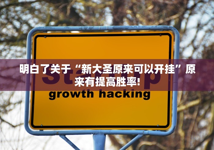 明白了关于“新大圣原来可以开挂”原来有提高胜率!