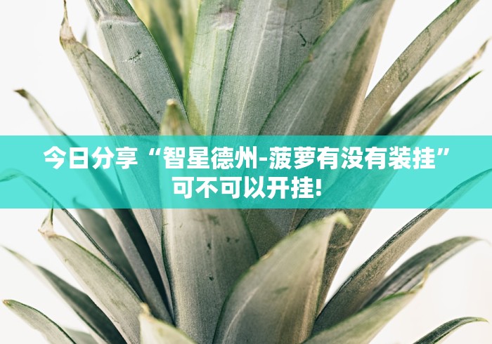 今日分享“智星德州-菠萝有没有装挂”可不可以开挂!