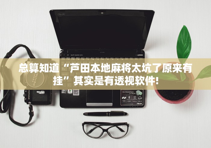 总算知道“芦田本地麻将太坑了原来有挂”其实是有透视软件!