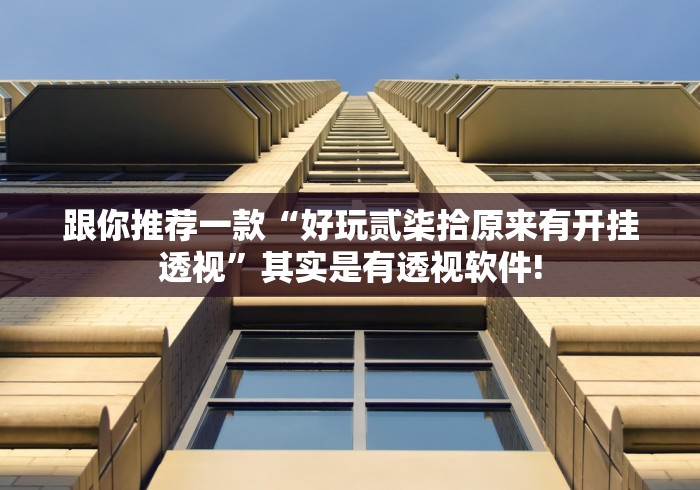 跟你推荐一款“好玩贰柒拾原来有开挂透视”其实是有透视软件!