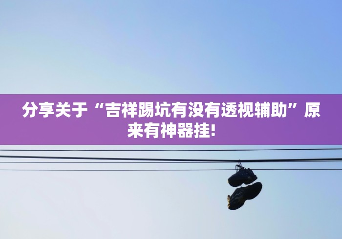 分享关于“吉祥踢坑有没有透视辅助”原来有神器挂!