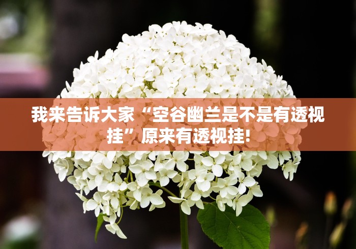 我来告诉大家“空谷幽兰是不是有透视挂”原来有透视挂!