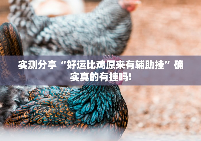 实测分享“好运比鸡原来有辅助挂”确实真的有挂吗!