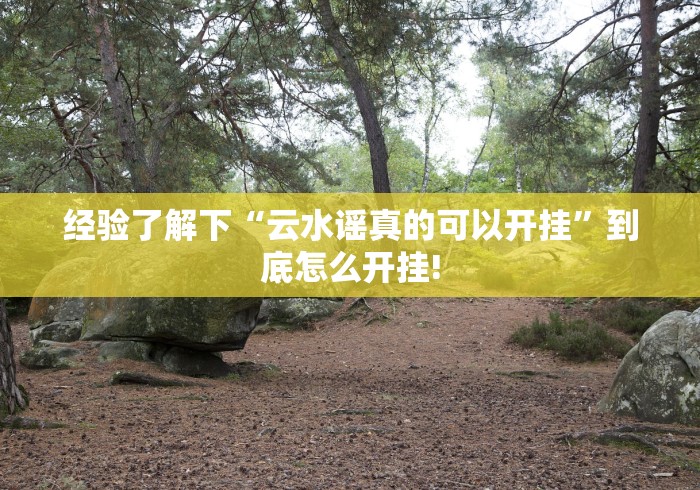 经验了解下“云水谣真的可以开挂”到底怎么开挂!