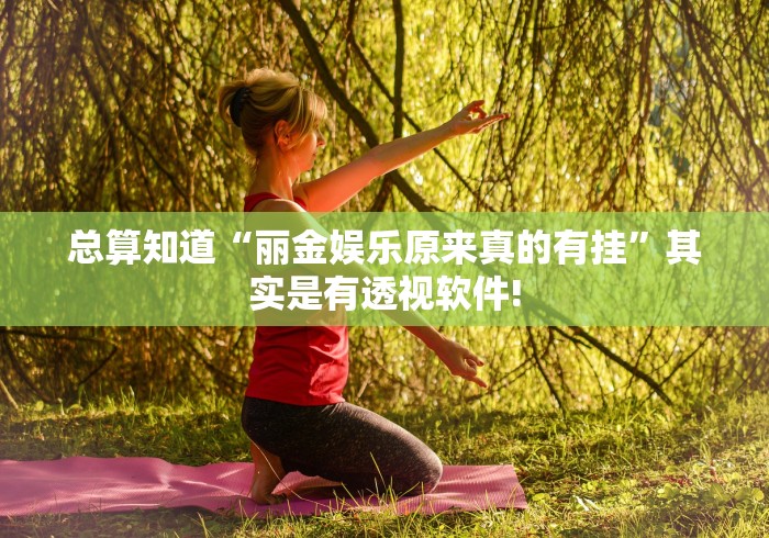 总算知道“丽金娱乐原来真的有挂”其实是有透视软件!