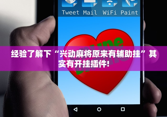 给牌友讲解“白金岛字牌圈真的可以开挂”原来确实有开挂!