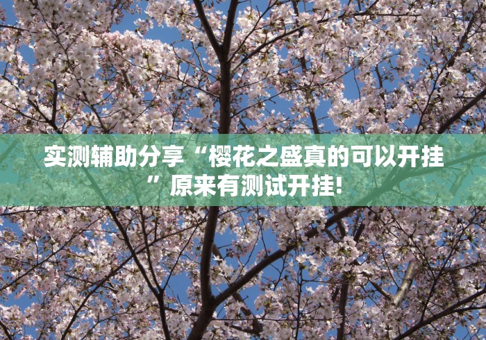 实测辅助分享“樱花之盛真的可以开挂”原来有测试开挂!