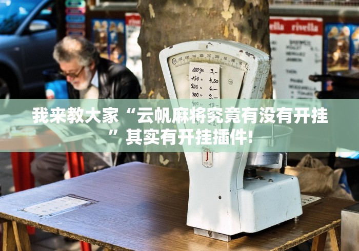 我来教大家“云帆麻将究竟有没有开挂”其实有开挂插件!