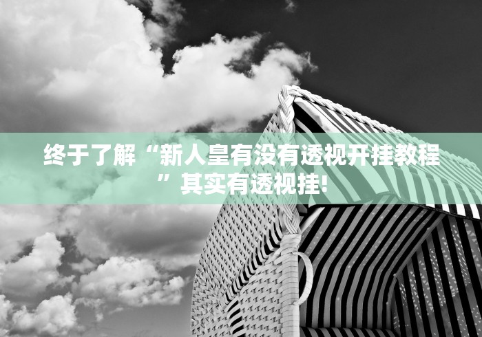 终于了解“新人皇有没有透视开挂教程”其实有透视挂!