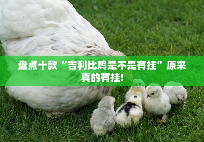 盘点十款“吉利比鸡是不是有挂”原来真的有挂!