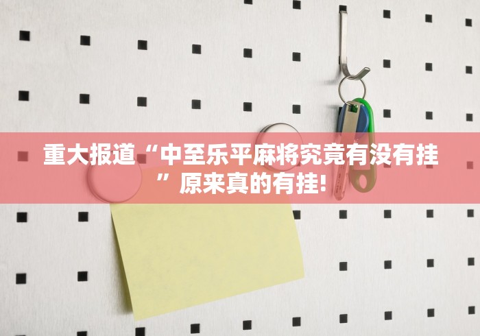重大报道“中至乐平麻将究竟有没有挂”原来真的有挂!