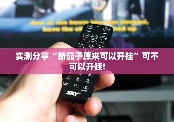 实测分享“新茄子原来可以开挂”可不可以开挂!