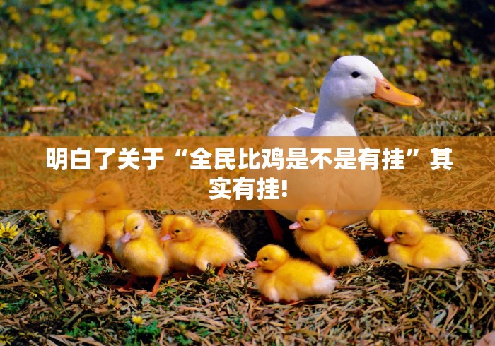 明白了关于“全民比鸡是不是有挂”其实有挂!