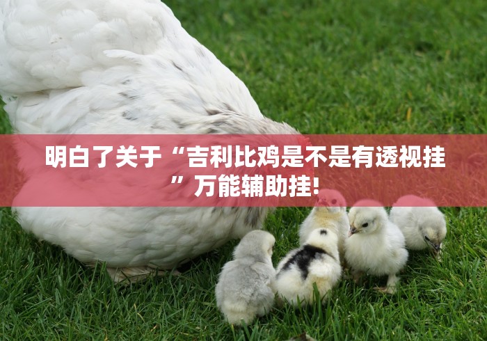 明白了关于“吉利比鸡是不是有透视挂”万能辅助挂!