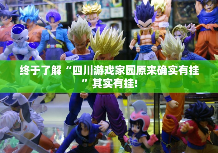 终于了解“四川游戏家园原来确实有挂”其实有挂!