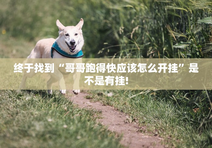 终于找到“哥哥跑得快应该怎么开挂”是不是有挂!