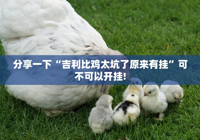 分享一下“吉利比鸡太坑了原来有挂”可不可以开挂!