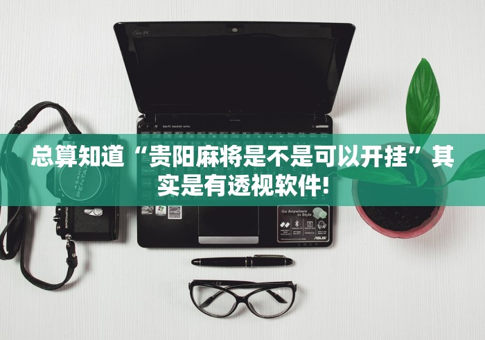 总算知道“贵阳麻将是不是可以开挂”其实是有透视软件!