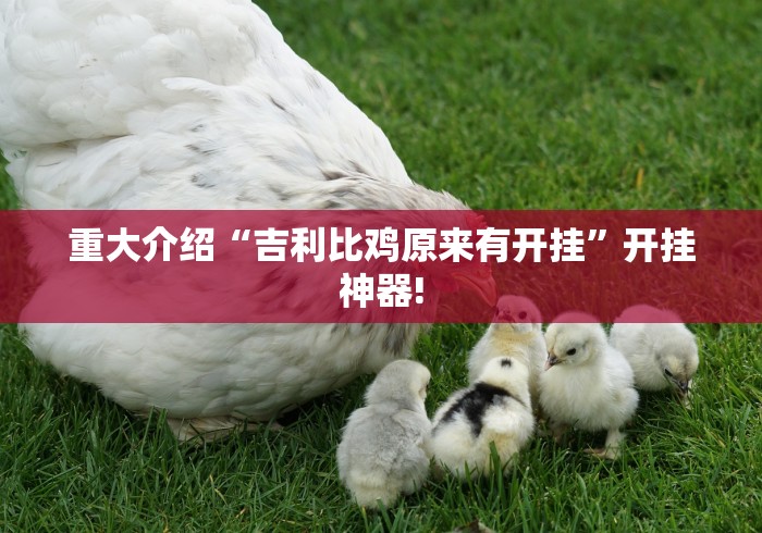 重大介绍“吉利比鸡原来有开挂”开挂神器!