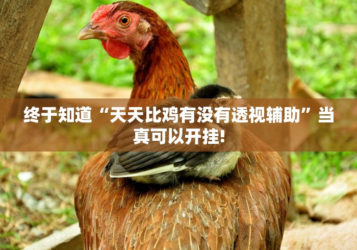 终于知道“天天比鸡有没有透视辅助”当真可以开挂!