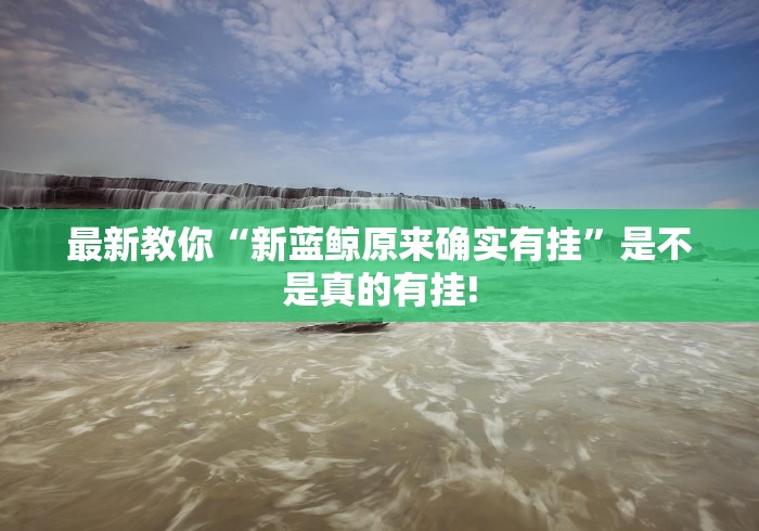 最新教你“新蓝鲸原来确实有挂”是不是真的有挂!