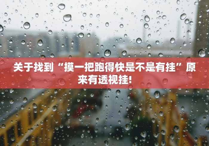 关于找到“摸一把跑得快是不是有挂”原来有透视挂!
