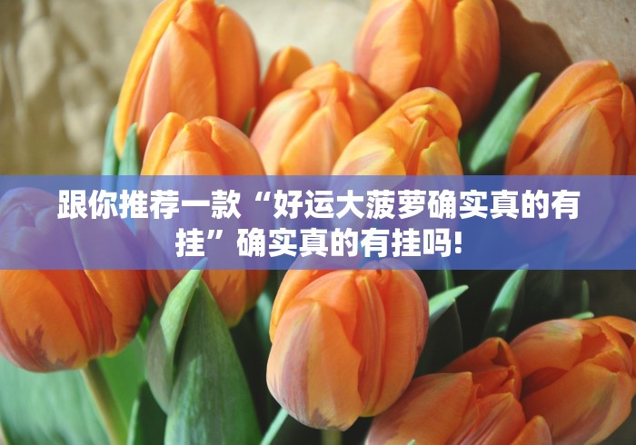 跟你推荐一款“好运大菠萝确实真的有挂”确实真的有挂吗! 跟你推荐一款“好运大菠萝确实真的有挂”确实真的有挂吗!