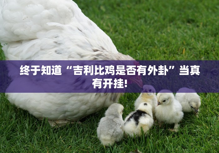 终于知道“吉利比鸡是否有外卦”当真有开挂! 终于知道“吉利比鸡是否有外卦”当真有开挂!