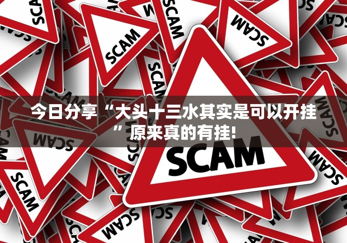 今日分享“大头十三水其实是可以开挂”原来真的有挂! 今日分享“大头十三水其实是可以开挂”原来真的有挂!