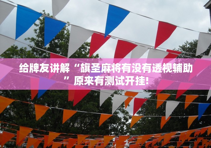 给牌友讲解“旗圣麻将有没有透视辅助”原来有测试开挂!