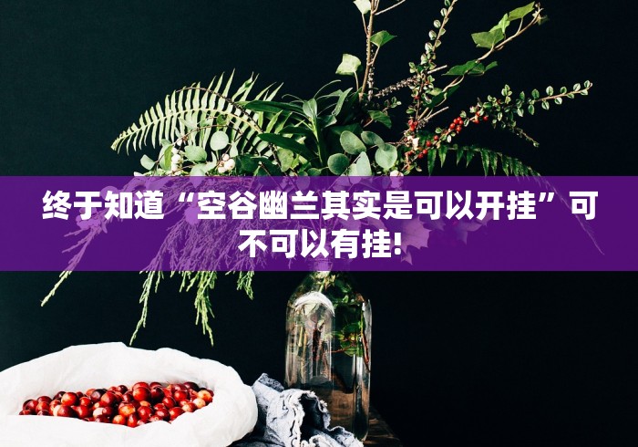 终于知道“空谷幽兰其实是可以开挂”可不可以有挂!