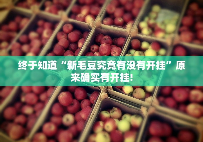 终于知道“新毛豆究竟有没有开挂”原来确实有开挂!