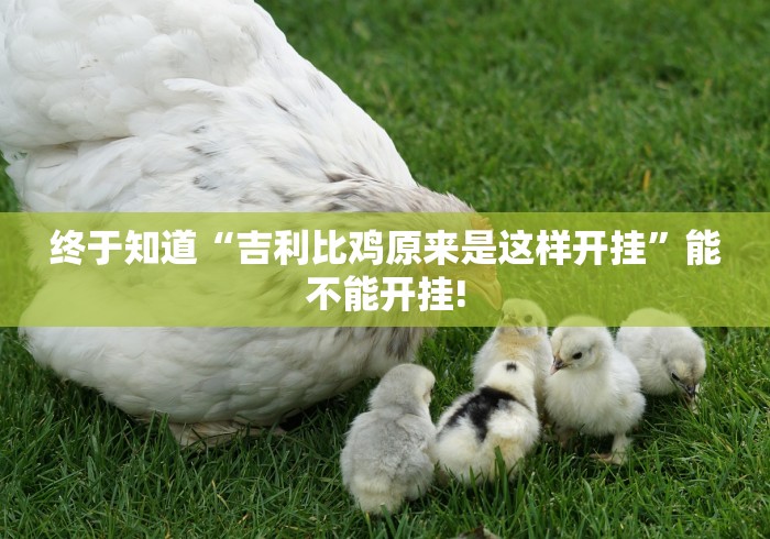 终于知道“吉利比鸡原来是这样开挂”能不能开挂!