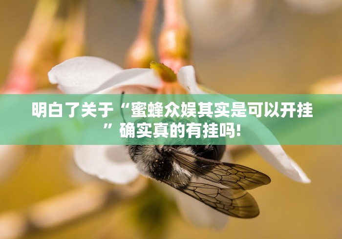 明白了关于“蜜蜂众娱其实是可以开挂”确实真的有挂吗! 明白了关于“蜜蜂众娱其实是可以开挂”确实真的有挂吗!