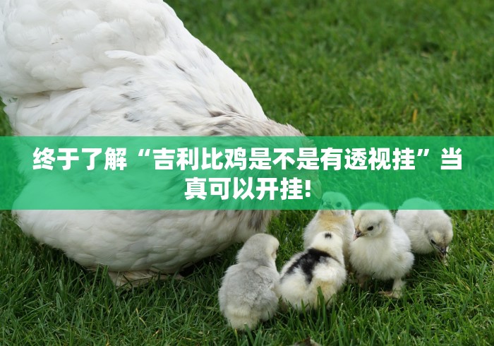 终于了解“吉利比鸡是不是有透视挂”当真可以开挂!