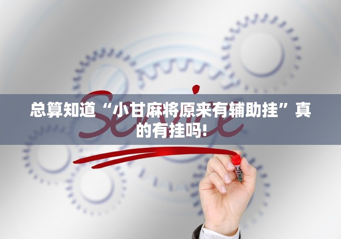 总算知道“小甘麻将原来有辅助挂”真的有挂吗!