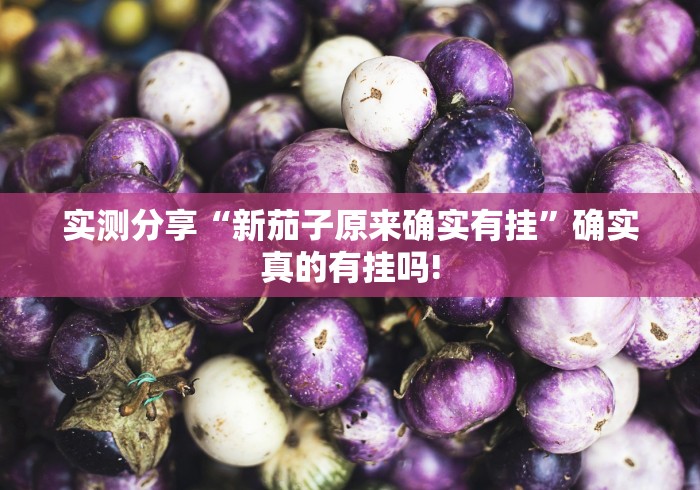 最新教你“四川游戏家园其实有外卦”是不是真的有挂! 最新教你“四川游戏家园其实有外卦”是不是真的有挂!