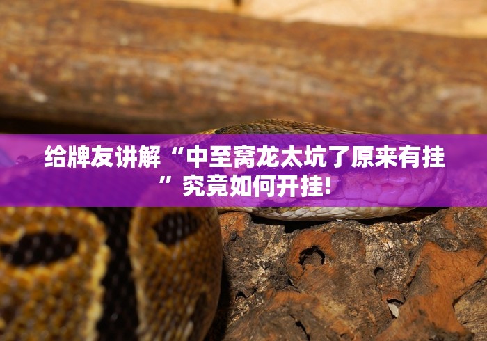 给牌友讲解“中至窝龙太坑了原来有挂”究竟如何开挂!