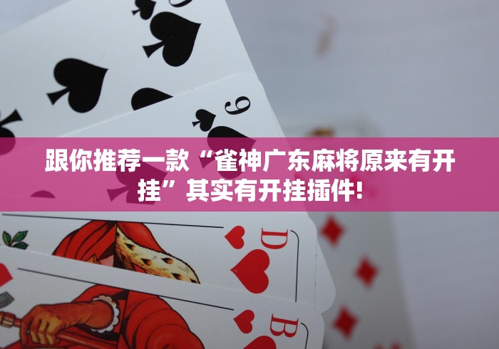 跟你推荐一款“雀神广东麻将原来有开挂”其实有开挂插件!