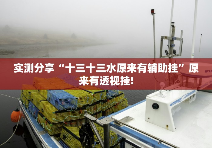 实测分享“十三十三水原来有辅助挂”原来有透视挂!